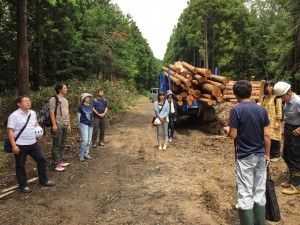 静岡県木のソムリエツアー第1回