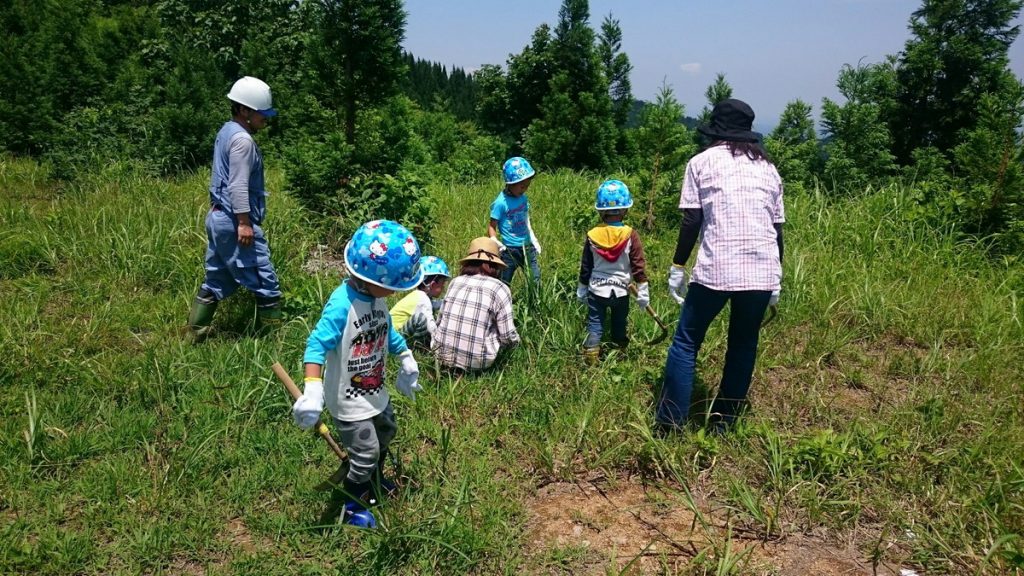 木のソムリエツアー第１回山を見る