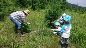 木のソムリエツアー第１回山を見る